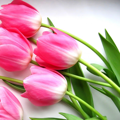 Hd-171463-ascw171463