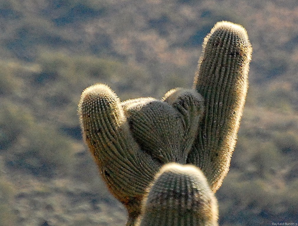 [DSC_0368%255B4%255D.jpg]