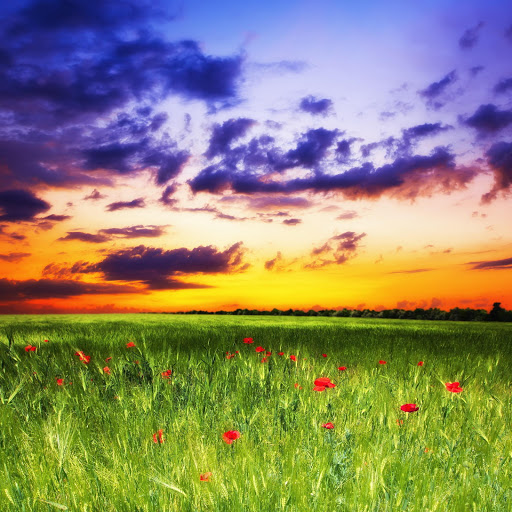 Hd-177869-ascw177869