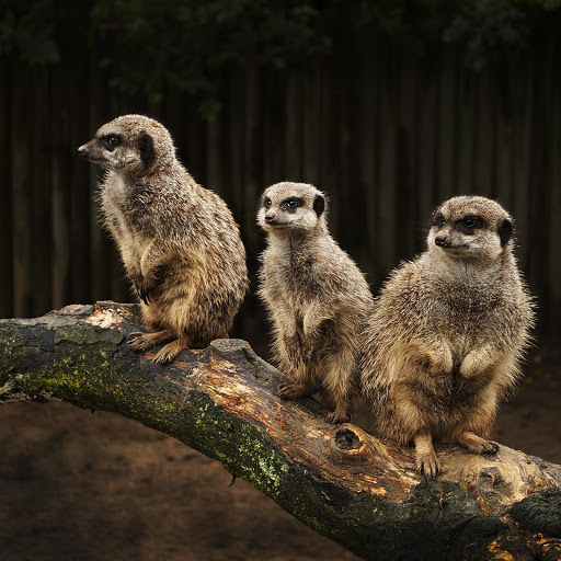 Hd-147022-ascw147022