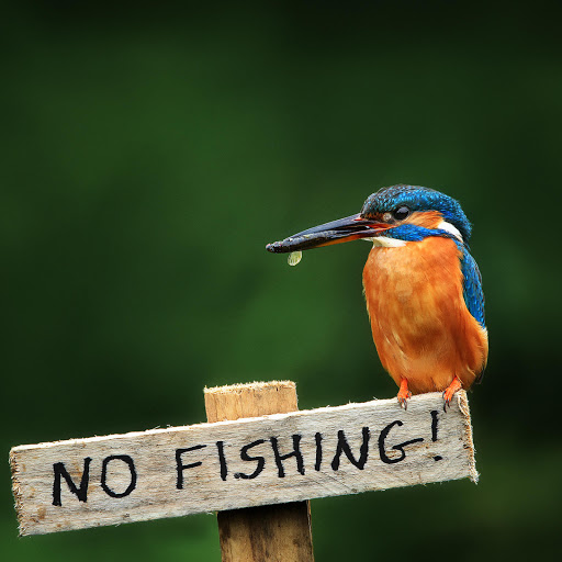 Hd-178188-ascw178188