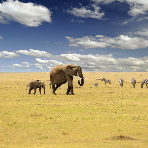 Hd-163783-ascw163783