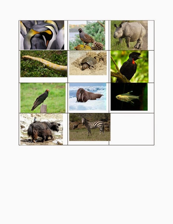 [ABC-animal-sheet-for-letter-find-pag.jpg]