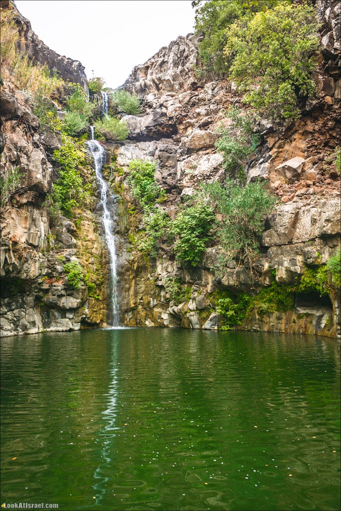 LookAtIsrael.com: Водопад Завитан (israel  путешествия природа парк голанские высоты водопады )
