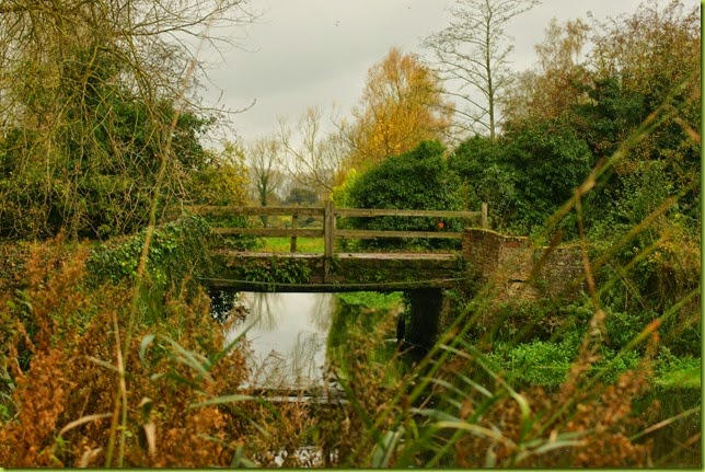 Walk along the river Bure, Buxton to Oxnead towards Aylesham