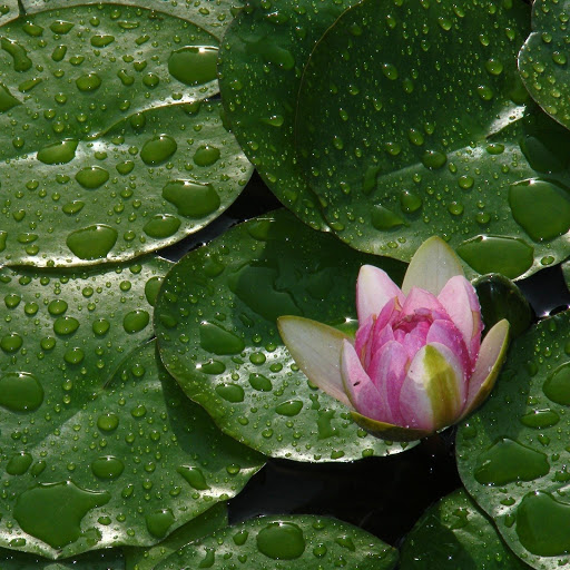 Hd-166823-ascw166823