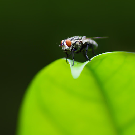 Hd-157428-ascw157428