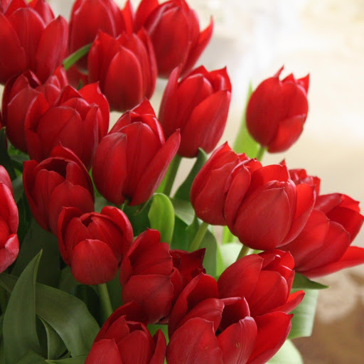 Hd-161978-ascw161978