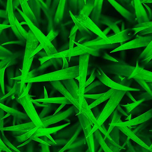 Hd-145822-ascw145822