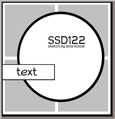 SSD122.jpg