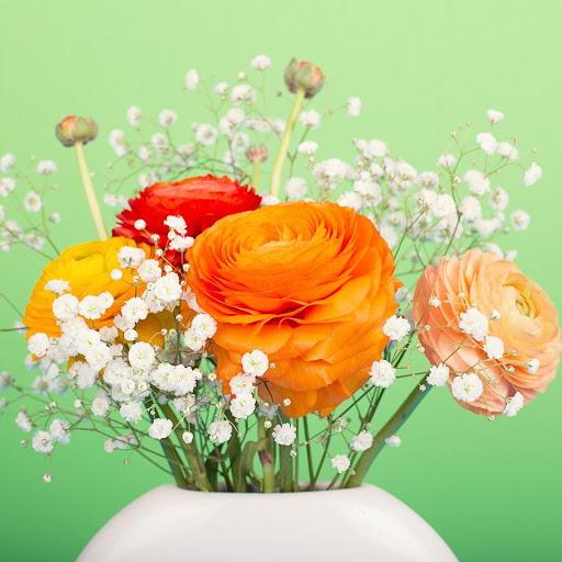 Hd-183581-ascw183581