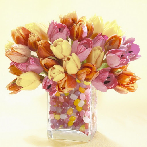 Hd-148237-ascw148237