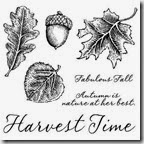 C1504_fall harvest stamp set