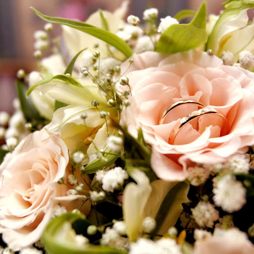 Hd-162386-ascw162386