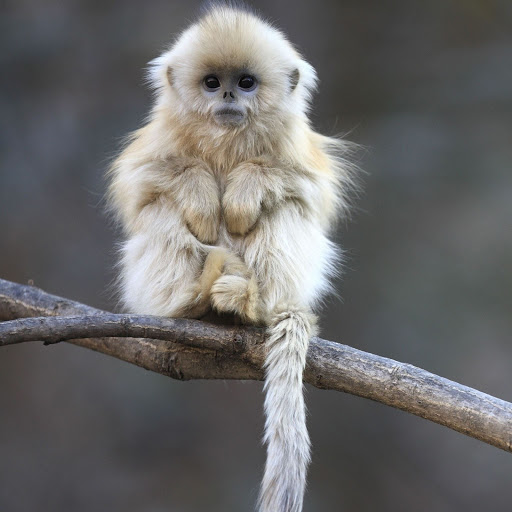 Hd-155796-ascw155796