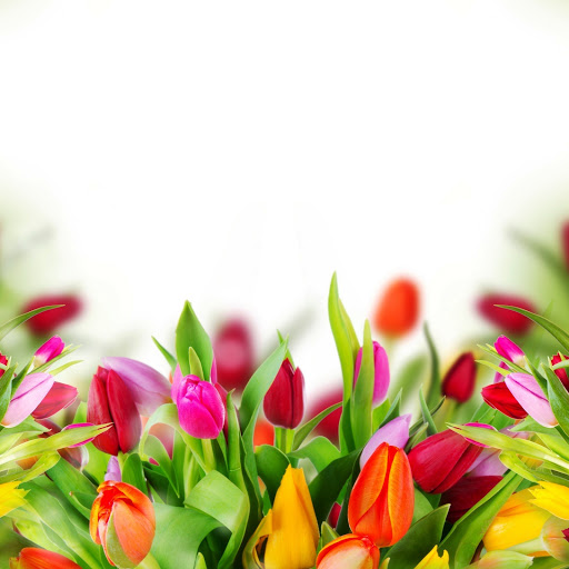 Hd-142623-ascw142623