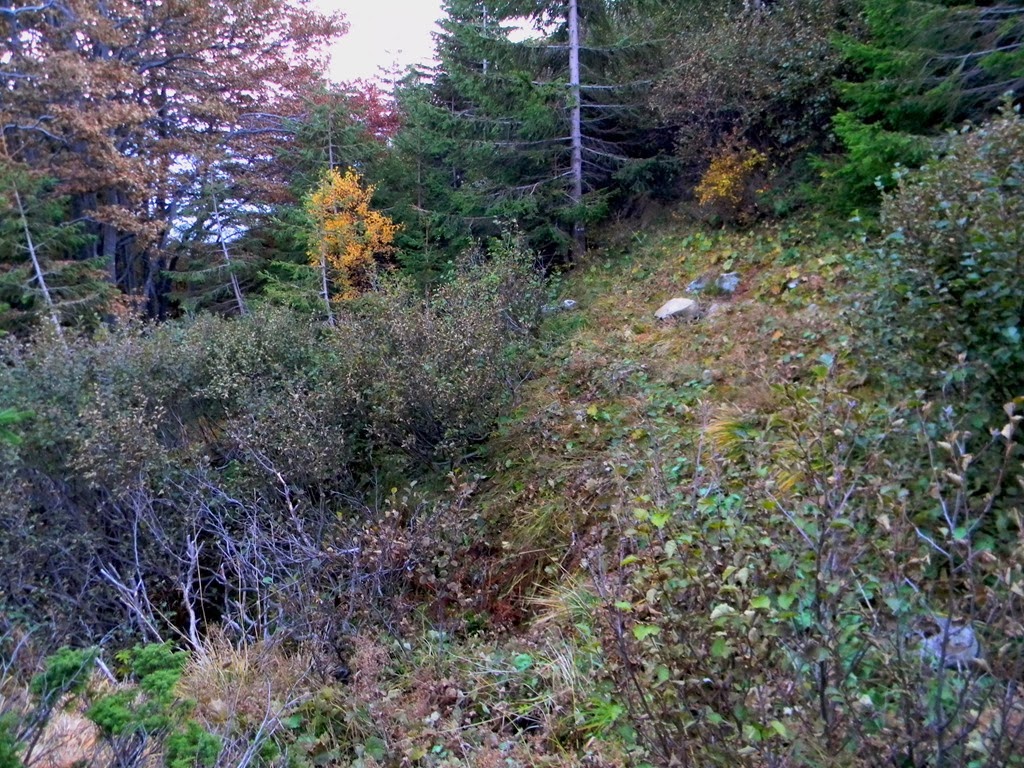 [DSCN71783.jpg]