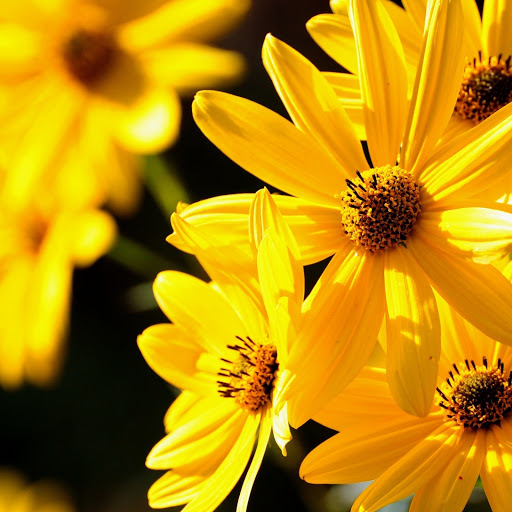 Hd-172743-ascw172743