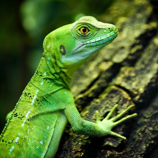 Hd-185834-ascw185834