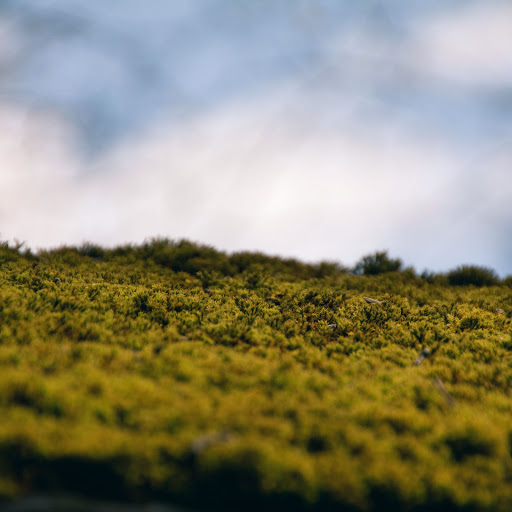 Hd-137292-ascw137292