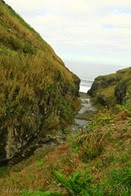 IMG_4389 IMG_4389