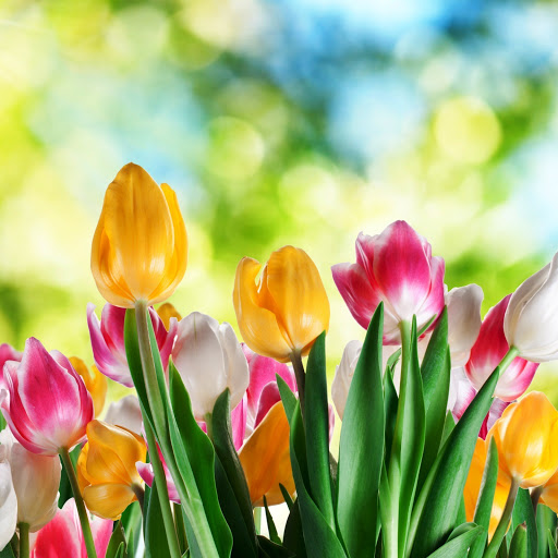 Hd-142643-ascw142643