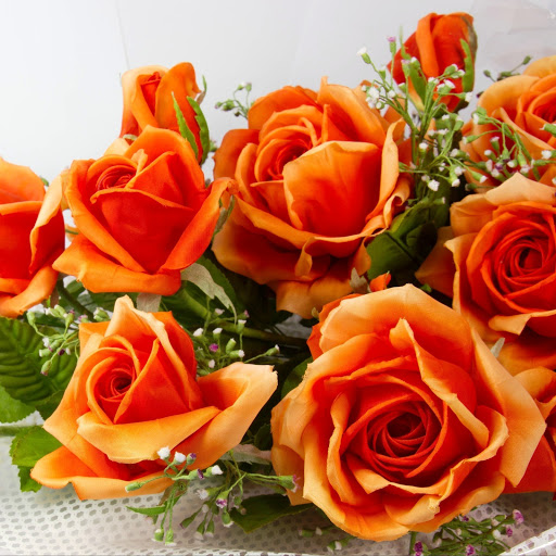 Hd-142052-ascw142052