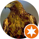 Golden Falcons profile picture