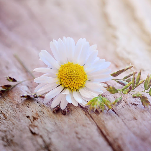 Hd-183778-ascw183778