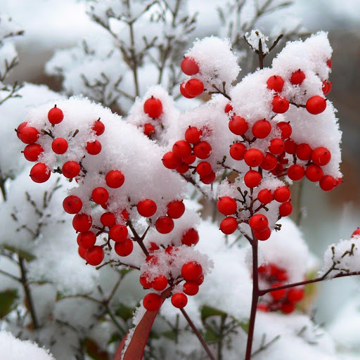 Hd-148724-ascw148724