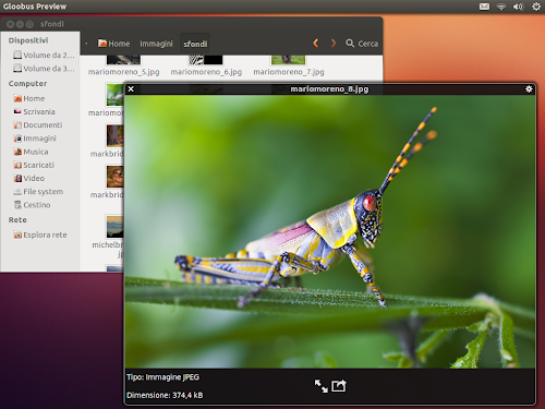 Gloobus Preview su Ubuntu 12.10 - immagini
