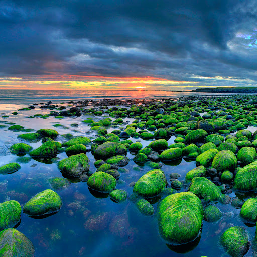 Hd-137279-ascw137279