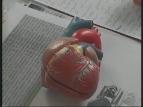 День сердца.