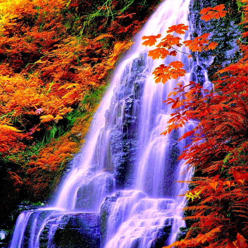 Hd-174959-ascw174959