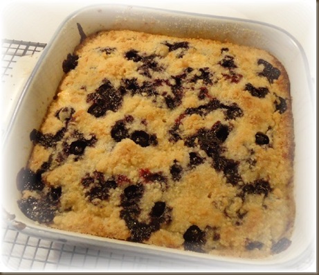 Blueberries and Cream Coffee  Cake