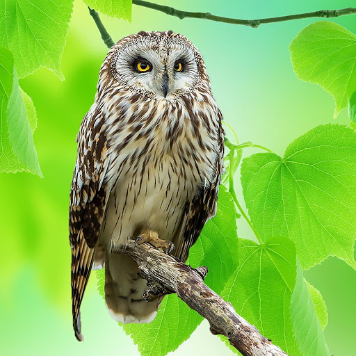 Hd-178654-ascw178654