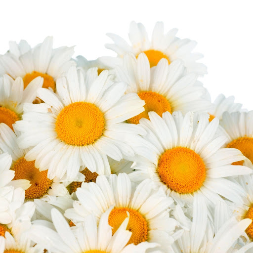 Hd-148727-ascw148727