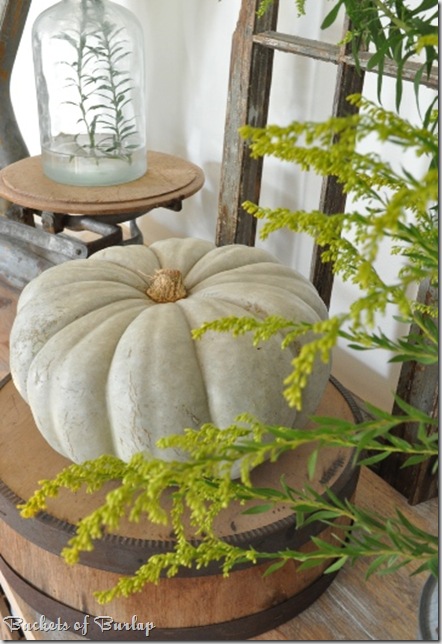 fall dining-cinderella pumpkin