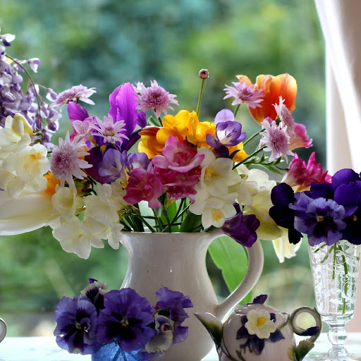 Hd-180205-ascw180205