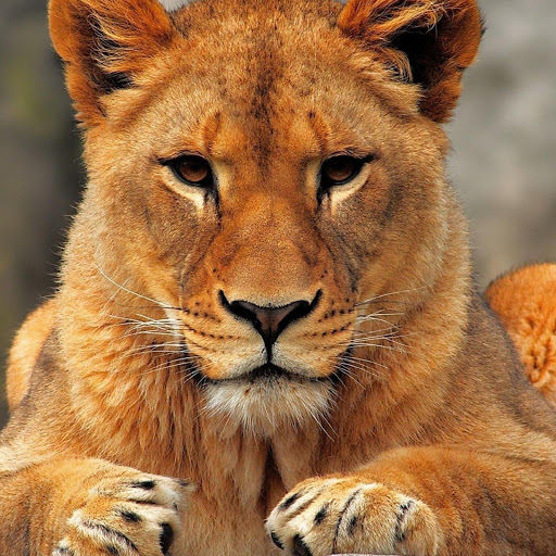 Hd-180463-ascw180463