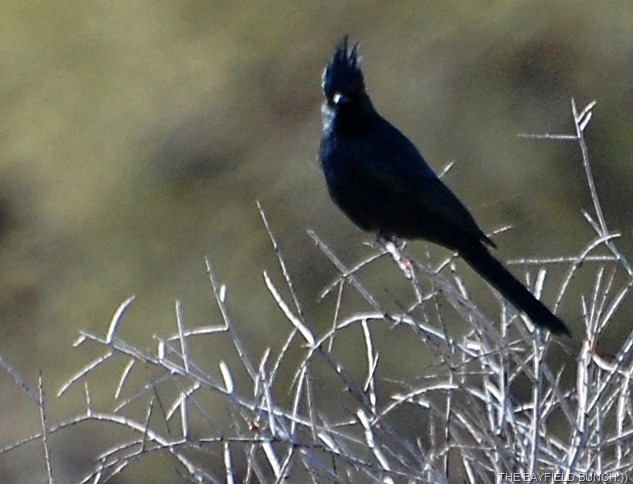 [DSC_7893%255B4%255D.jpg]