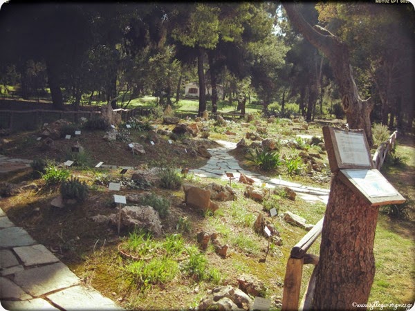 Περίπατο στον Βοτανικό Κήπο Διομήδους (Χαϊδάρι) by ♫ΣΥΛΛΕΓΩ ΣΤΙΓΜΕΣ♫