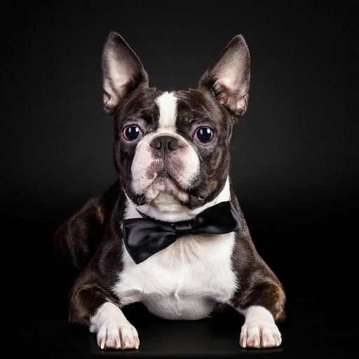 Hd-175873-ascw175873