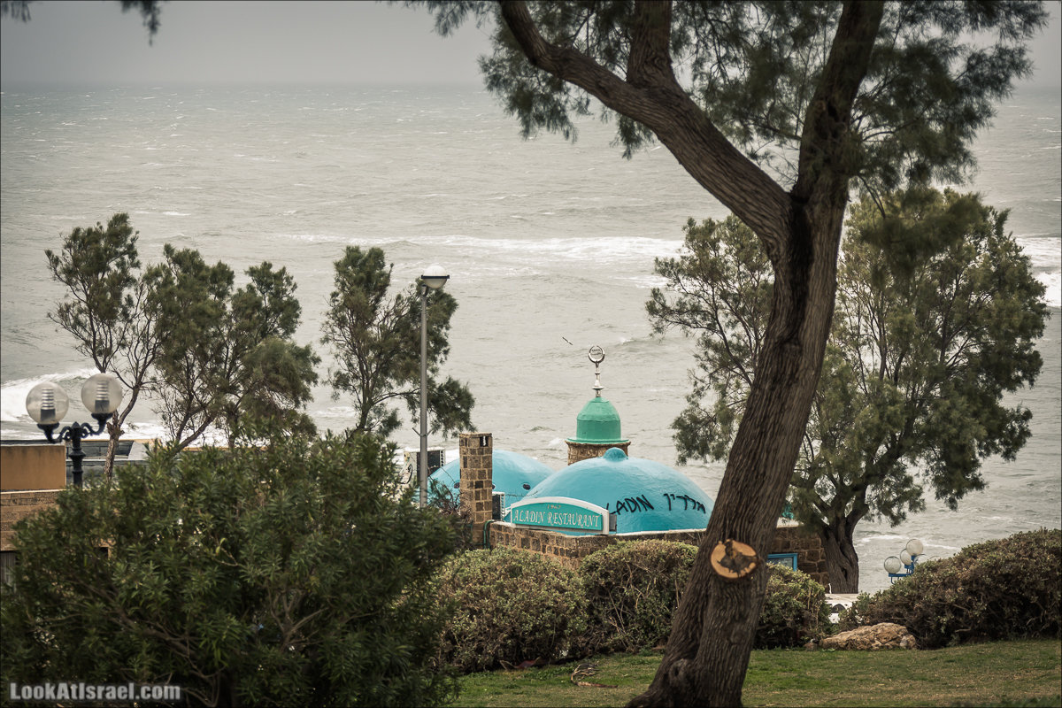 LookAtIsrael.com - Прогулка по дождливому Тель Авиву | Rain in Tel Aviv