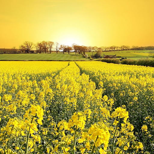 Hd-151443-ascw151443