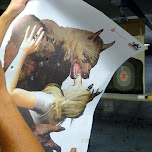werewolf demolished in North Tonawanda, United States 