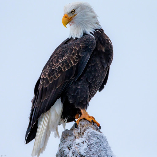 Hd-176579-ascw176579