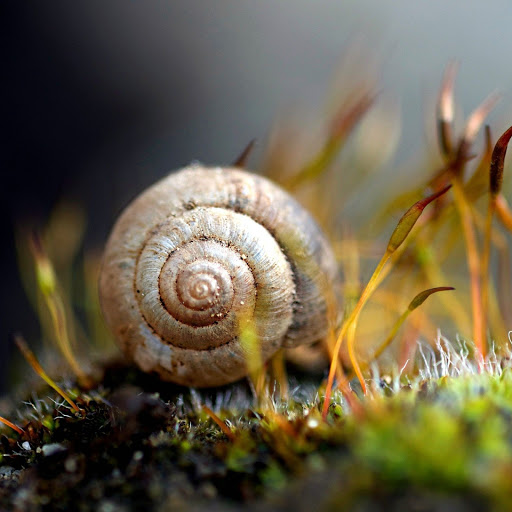 Hd-149779-ascw149779