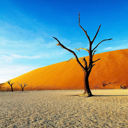 Hd-177416-ascw177416