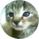 Image Google de Martinez Marjorie